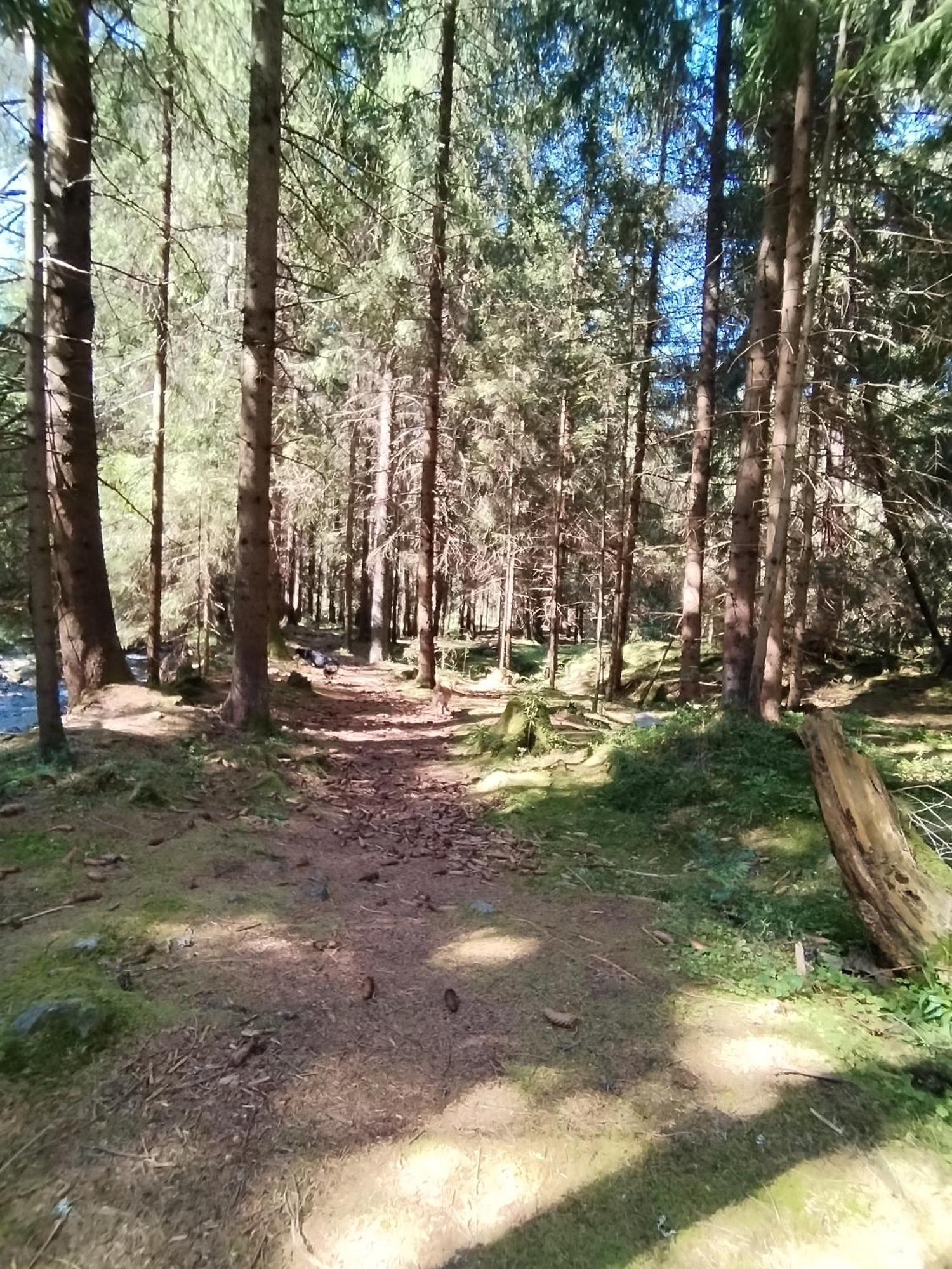 Penzion Real Žiar Eksteriør billede